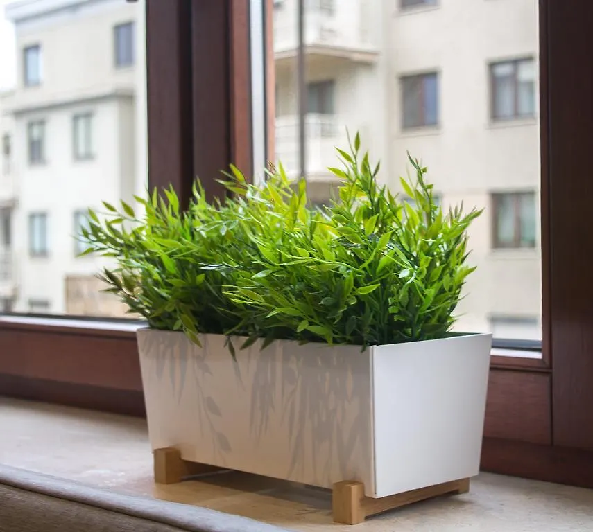 Apartament Jelitkowski Dwor Apartment Gdansk
